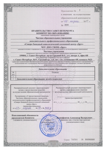 licenzia-05